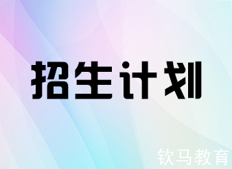 招生计划