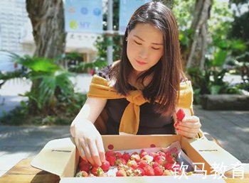 贺柯佳